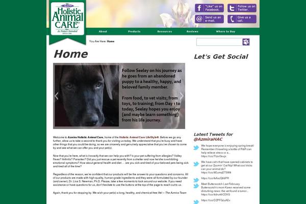 WordPress website example screenshot