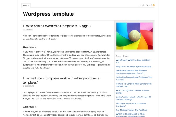 WordPress website example screenshot
