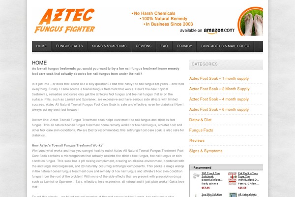 Affilotheme_2 theme site design template sample