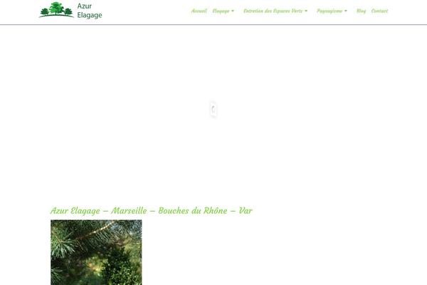 Site using Parallax Scroll plugin