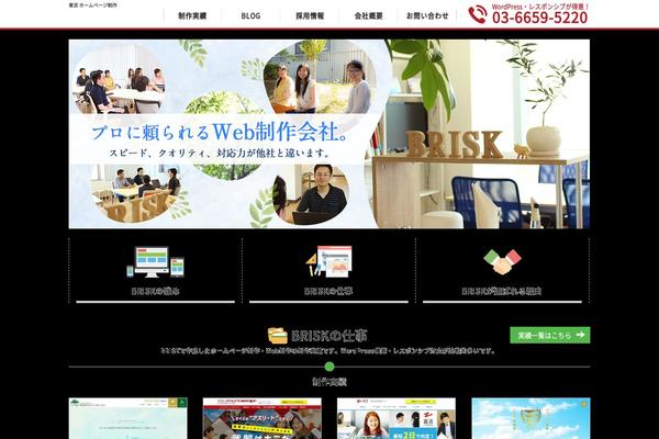 b-risk.jp site used Brisk