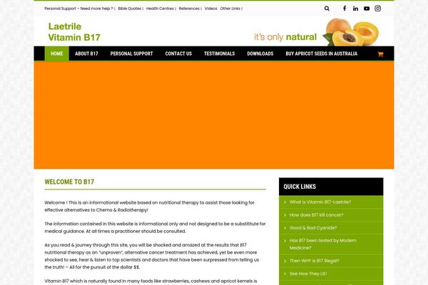 b17.com.au site used B17-child