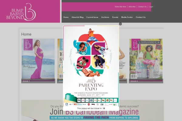 b3caribbeanmagazine.com site used B3-2015