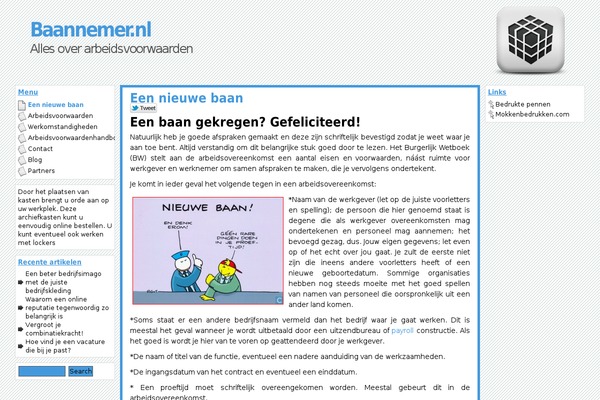 baannemer.nl site used Gray and Square