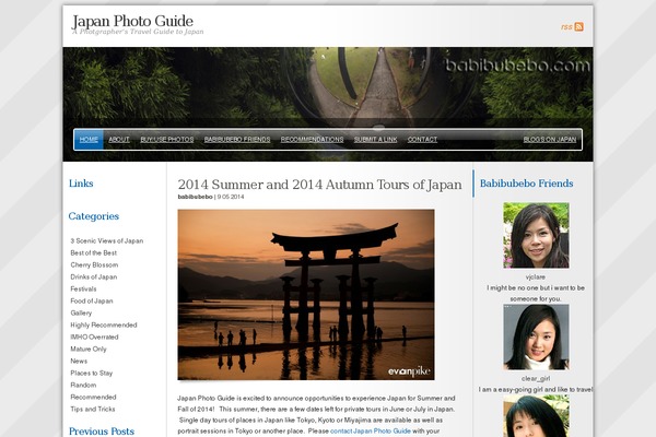 WordPress website example screenshot