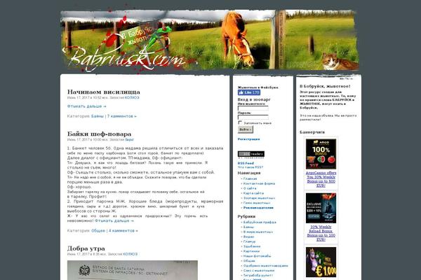 babruisk.com site used Babrubrick