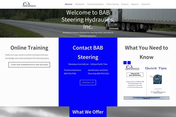 babsteering.com site used Salient