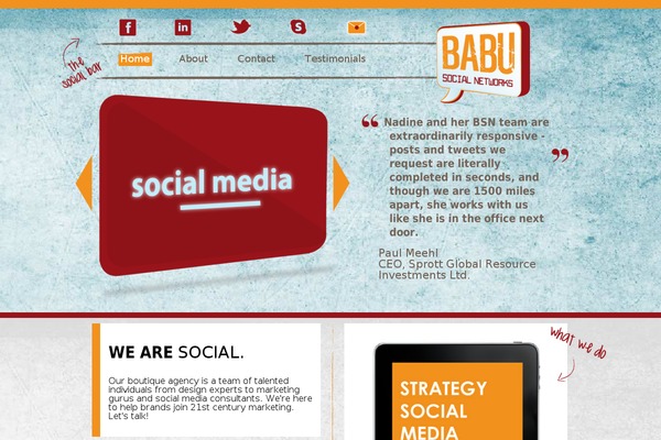 babusocialnetworks.com site used Bsn