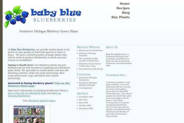 Bluebird theme site design template sample