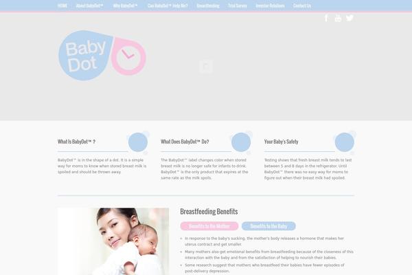 babydotllc.com site used Babydot