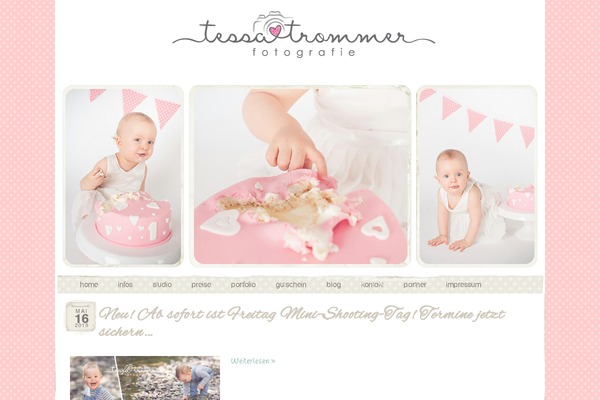 Prophoto4 theme site design template sample