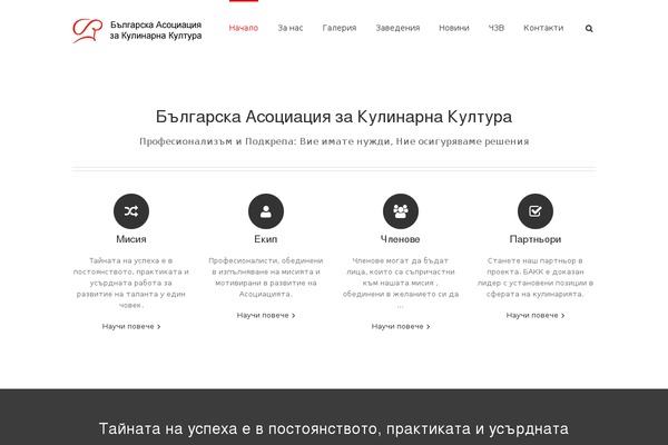 Avada theme site design template sample