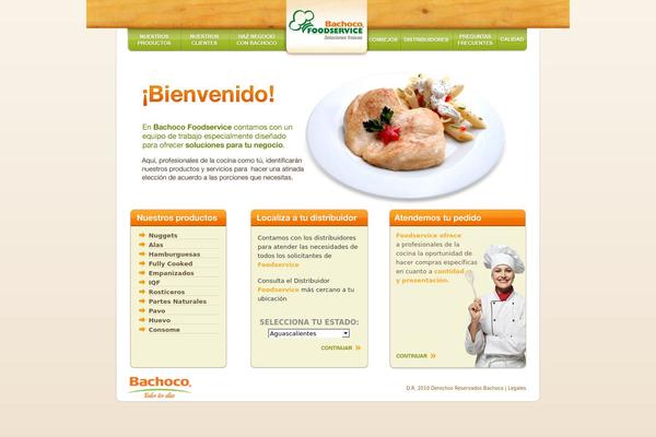 bachocofoodservice.com site used Foodservice