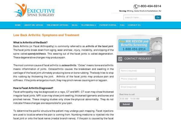 WordPress website example screenshot
