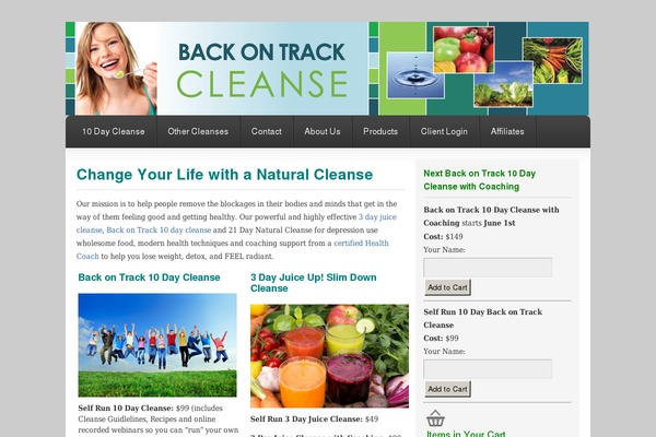 backontrackcleanse.com site used Freelance