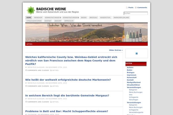 WordPress website example screenshot