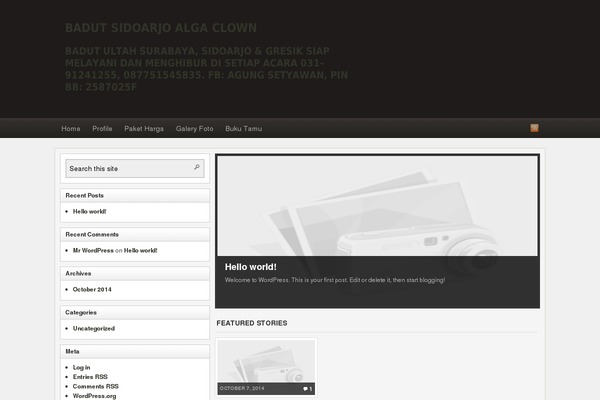 Arras WP theme theme site design template sample