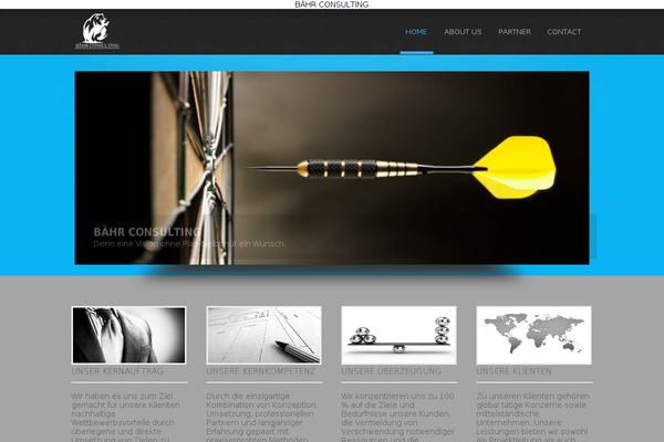 baehr-consulting.com site used Simplicity Lite