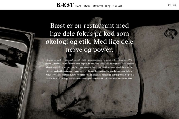 baest.dk site used Baest_theme