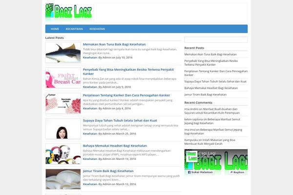 bagilagi.com site used Kilat