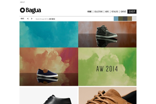 baguashoes.com site used Bagua_2012