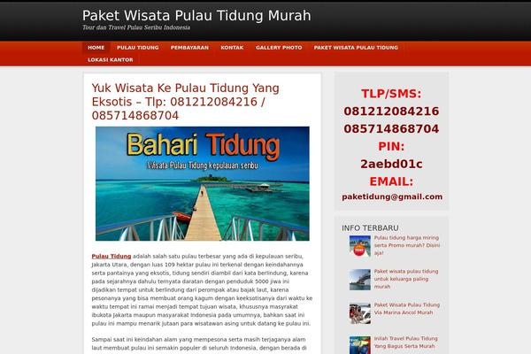 baharitidung.com site used Copyblogger