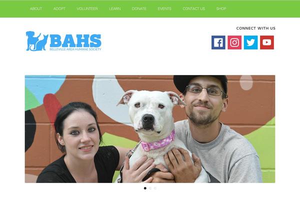 bahspets.com site used Malcolm-master