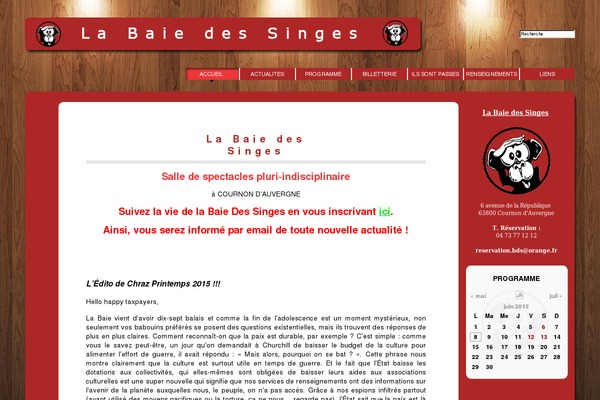 WordPress website example screenshot