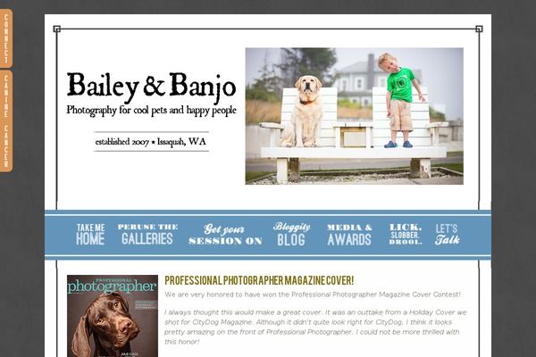 Prophoto4 theme site design template sample