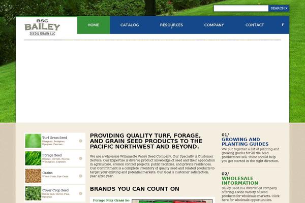 Bailey theme site design template sample