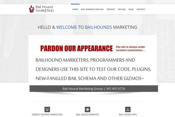 bailhound.com site used Bailhound