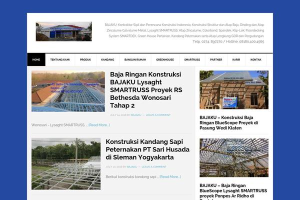 News Pro theme site design template sample