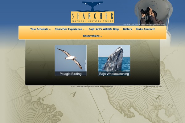 bajawhale.com site used Bajawhale-avada