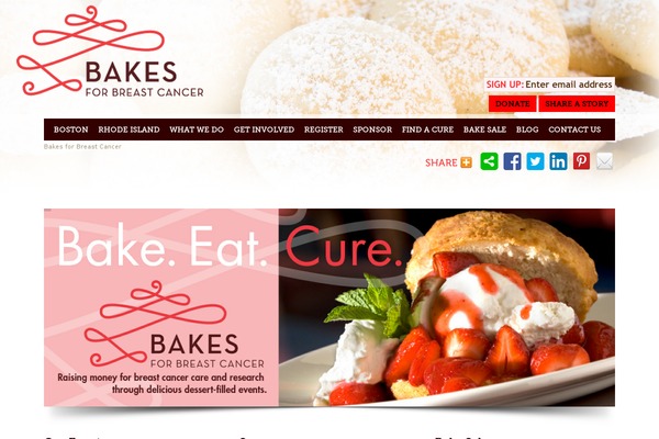 bakesforbreastcancer.org site used Bostonbakes