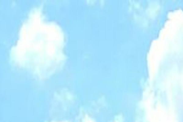 Twenty Seventeen theme site design template sample