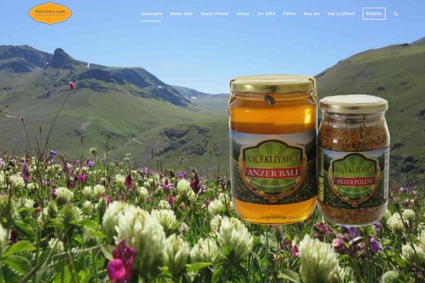 balanzer.com site used Tamseo