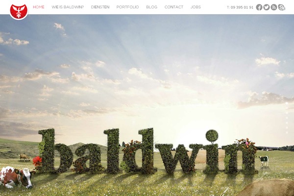 Baldwin theme site design template sample