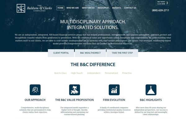 BaldwinClarke theme websites examples