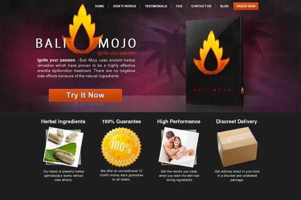 Twenty Ten theme site design template sample