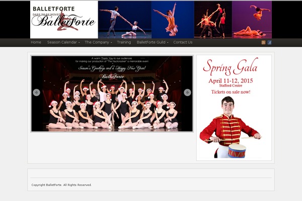 Arras WP theme theme site design template sample