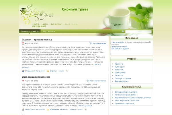 WordPress website example screenshot