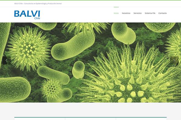 Avada theme site design template sample