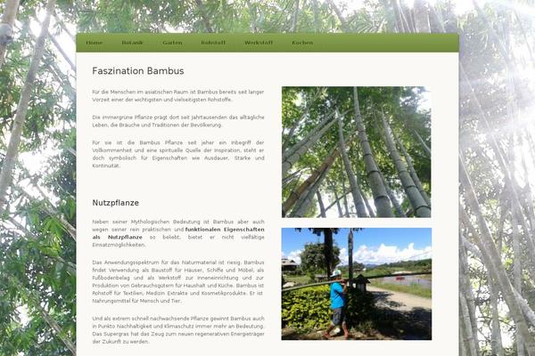 bambus-pflanze.info site used Origami Evergreen