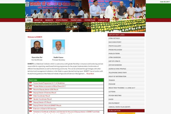 bameti.org site used Theme-college