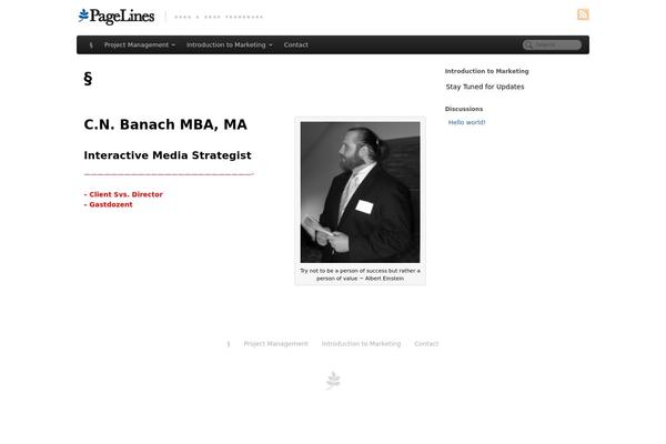 WordPress website example screenshot