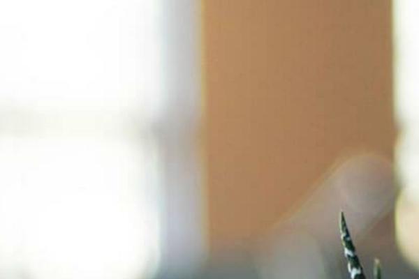 Twenty Seventeen theme site design template sample