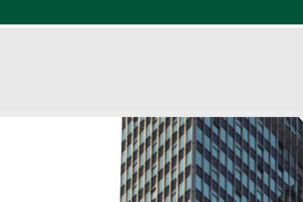 Site using Dynamic "To Top" Plugin plugin