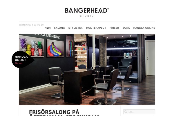 bangerheadstudio.se site used Studio_theme