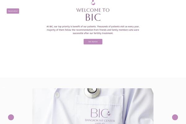 Bic theme site design template sample