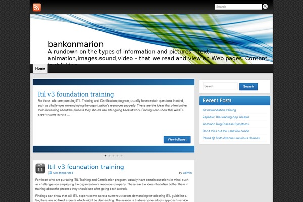 WordPress website example screenshot